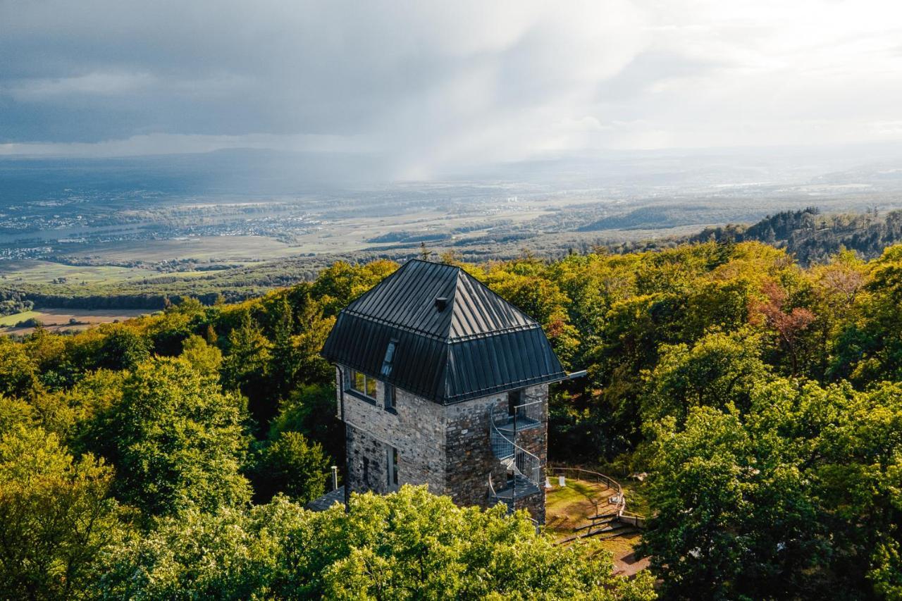 Hallgarter Zange Эстрих-Винкель Экстерьер фото